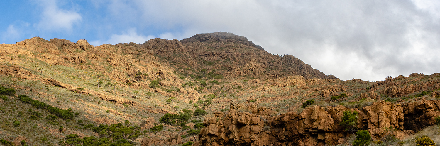 Un paseo por Sierra Bermeja