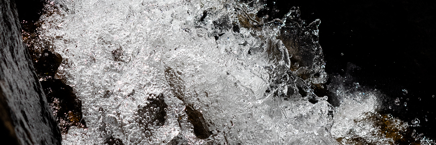 Revisitando Sierra Bermeja