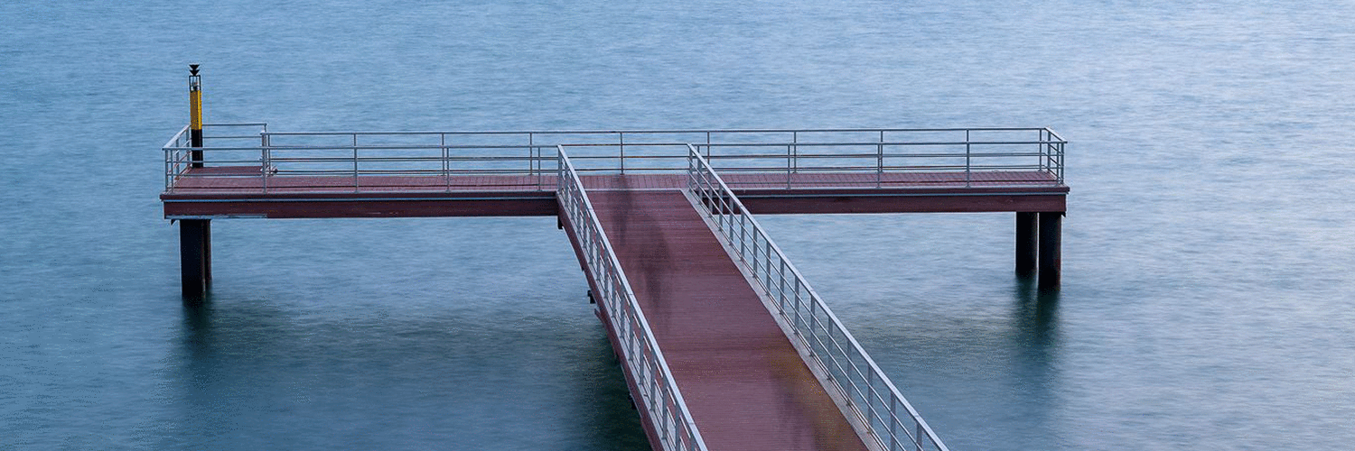 «Nueva Normalidad»