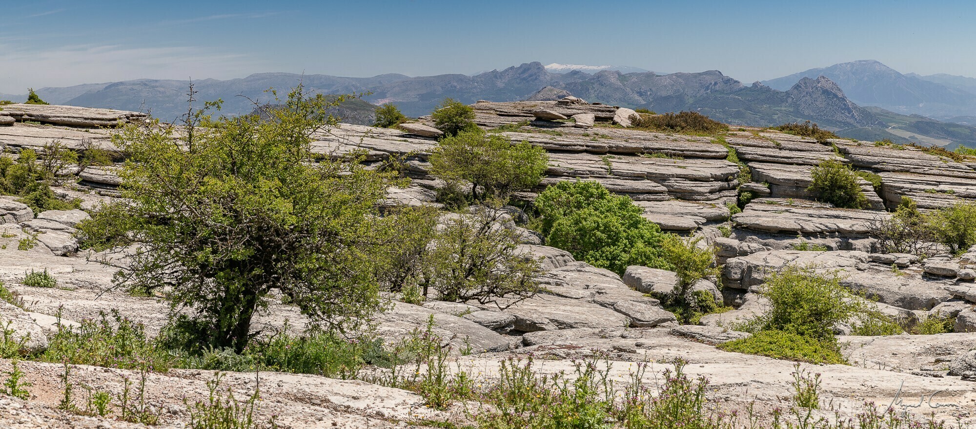 Al fondo, Sierra Nevada.
