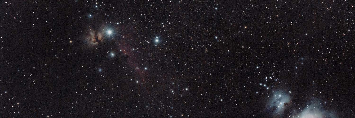 Revisando el catálogo