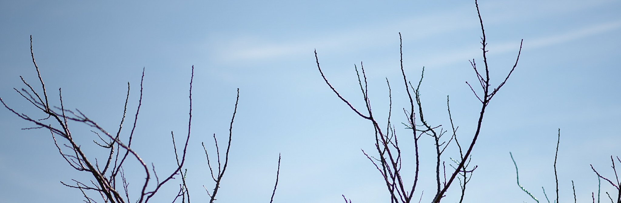 ¡Feliz año nuevo! 🎉 – Snapbridge