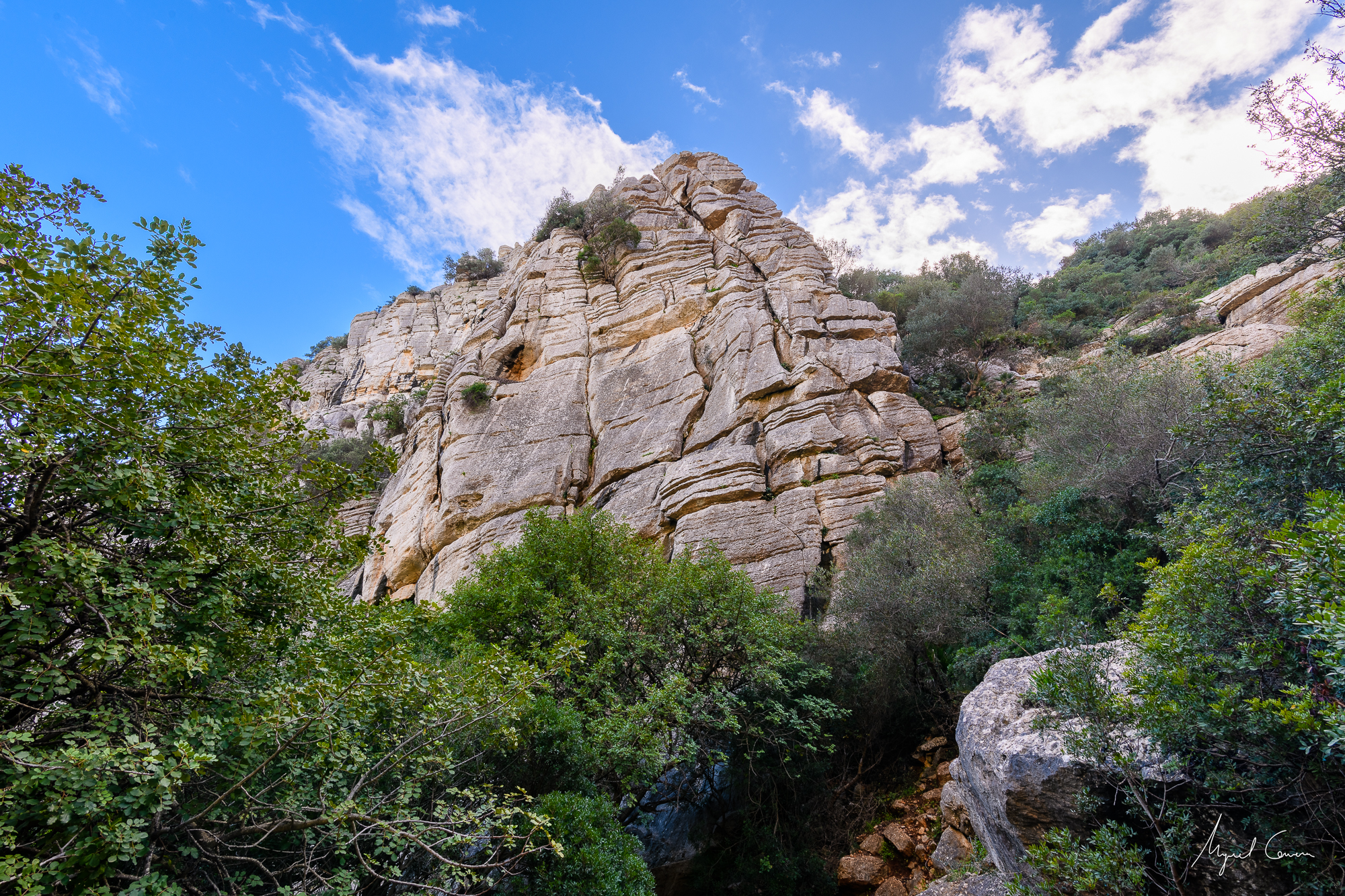 Canuto de la Utrera I
