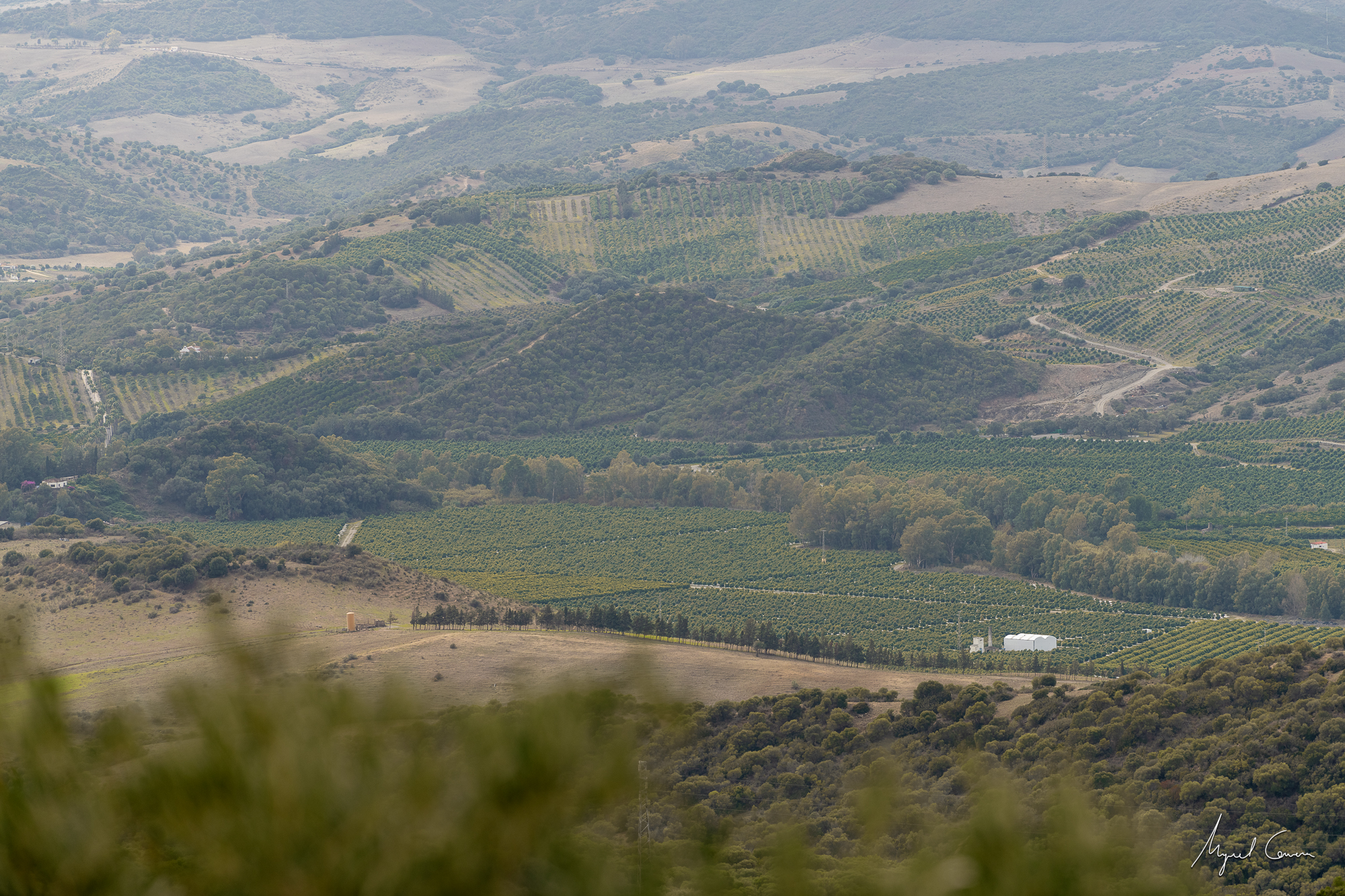 Nikon AF-S 70-200mm f/2.8E FL ED VR