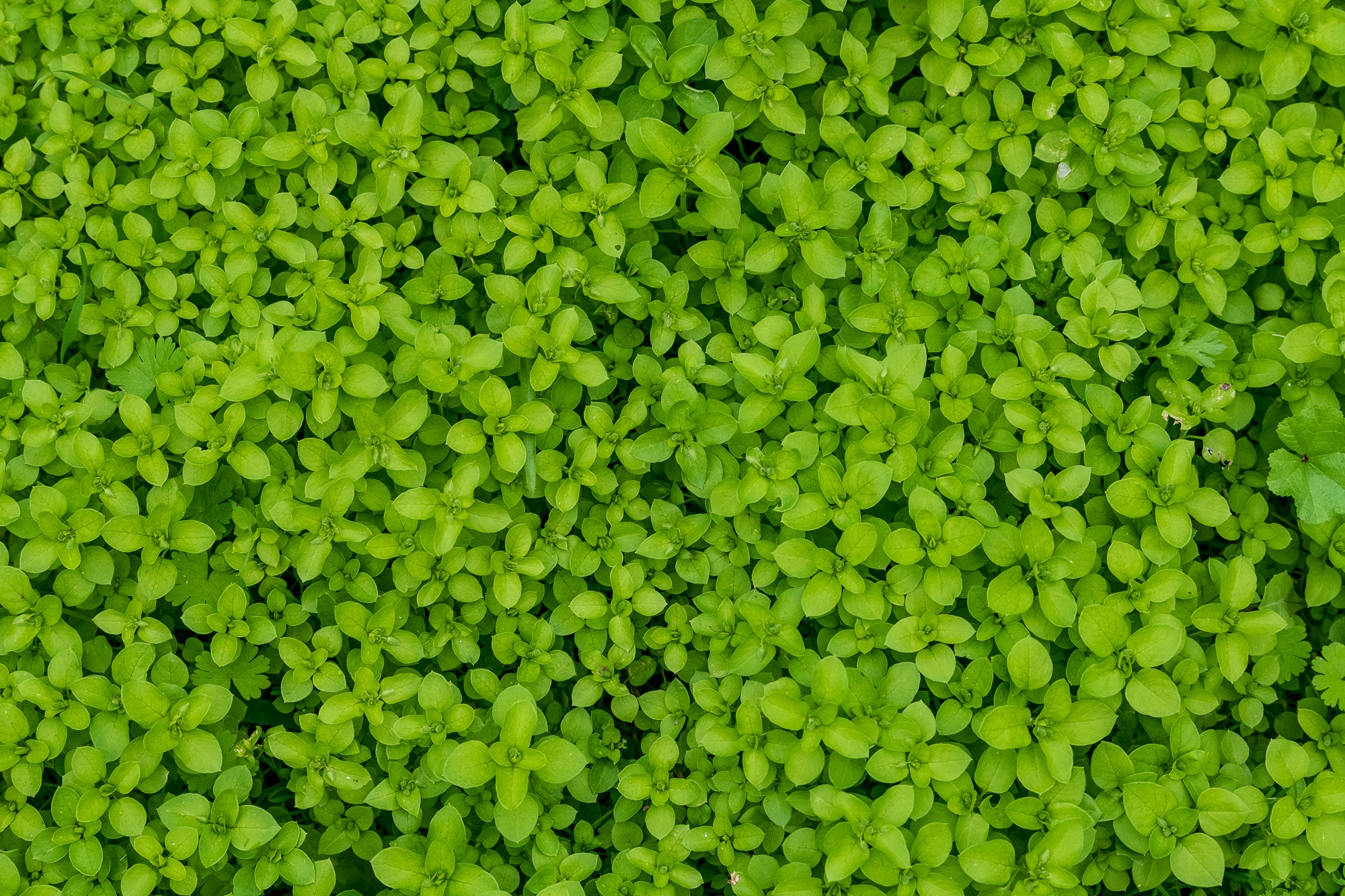 Volver a ser uno mismo