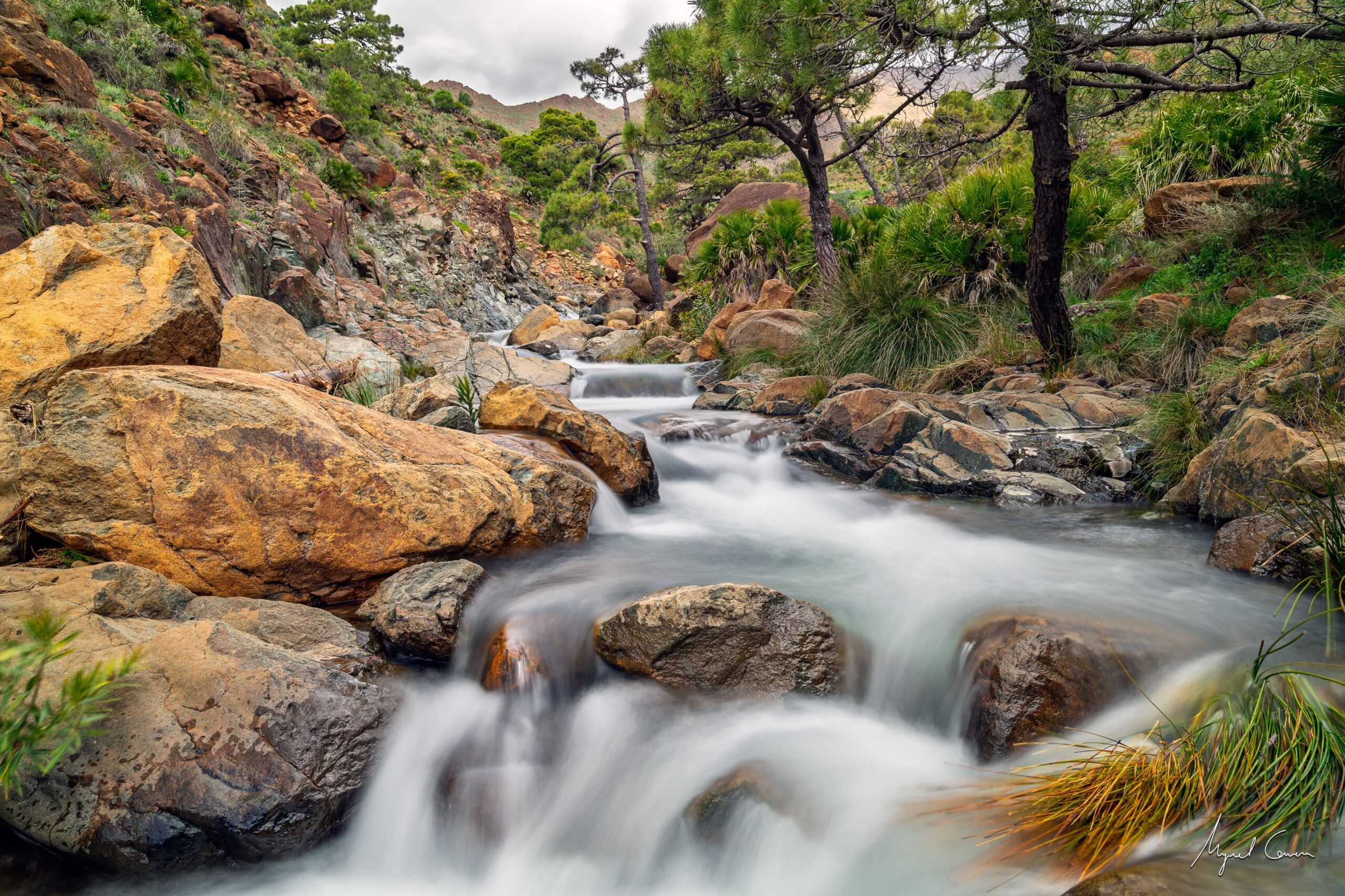 Arroyo Infierno – Estepona